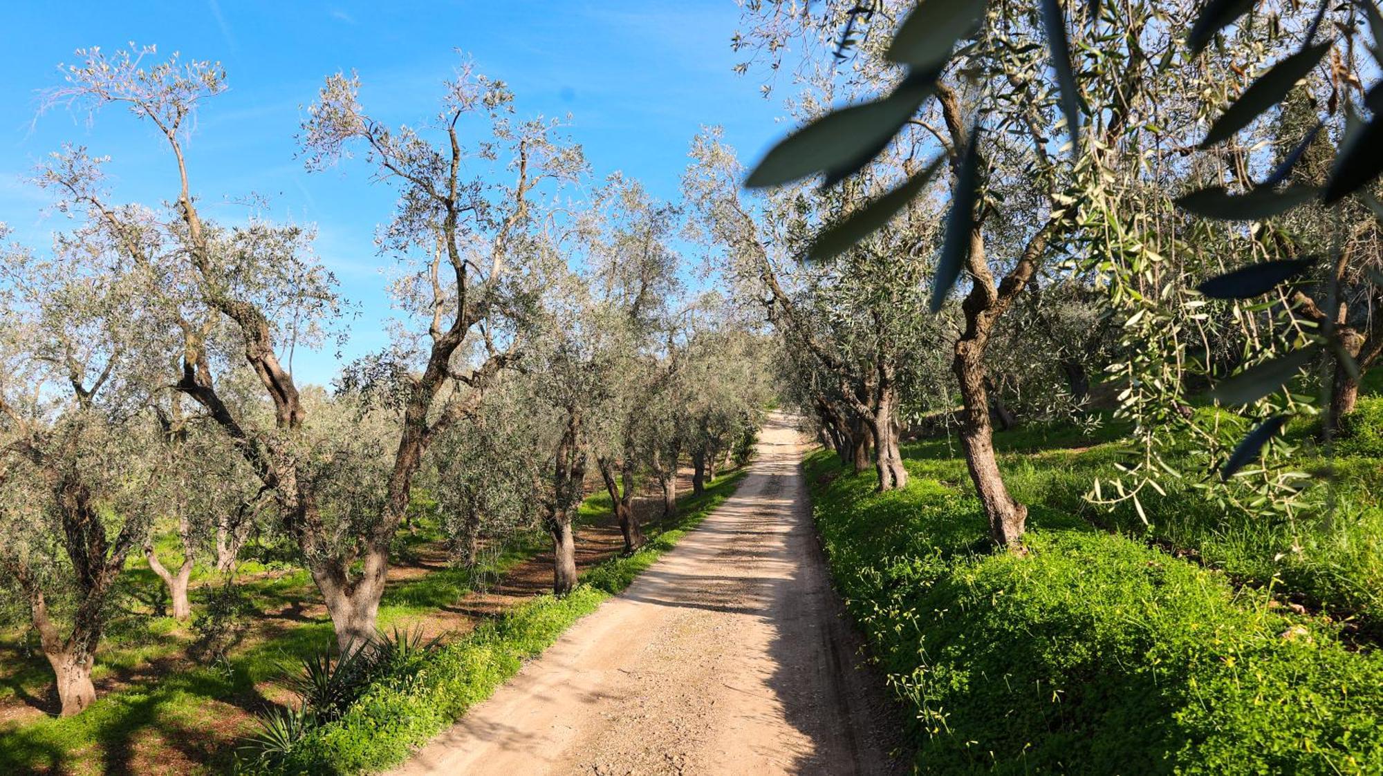 I Frangiventi Bed & Breakfast Rodi Garganico Bagian luar foto