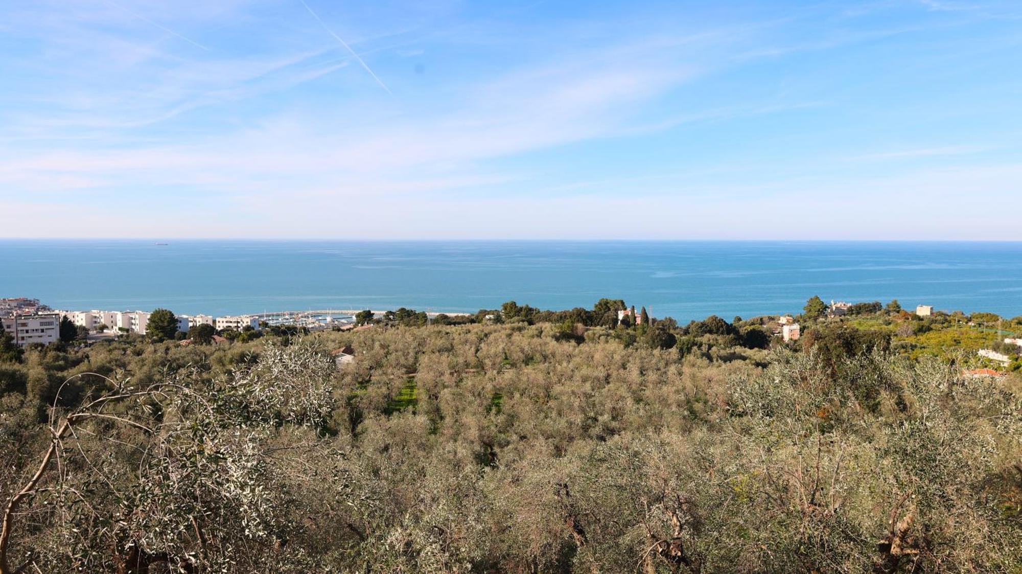 I Frangiventi Bed & Breakfast Rodi Garganico Bagian luar foto
