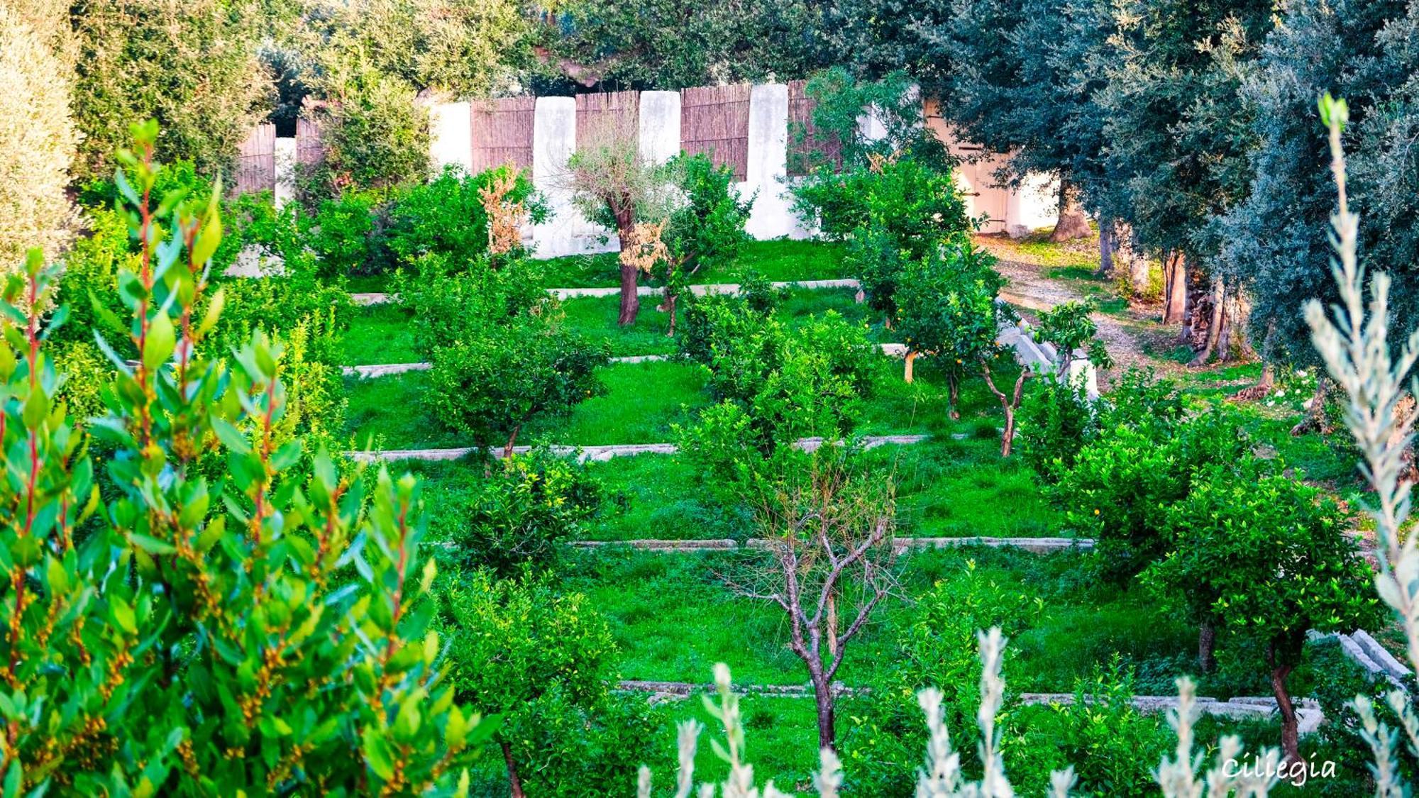 I Frangiventi Bed & Breakfast Rodi Garganico Bagian luar foto