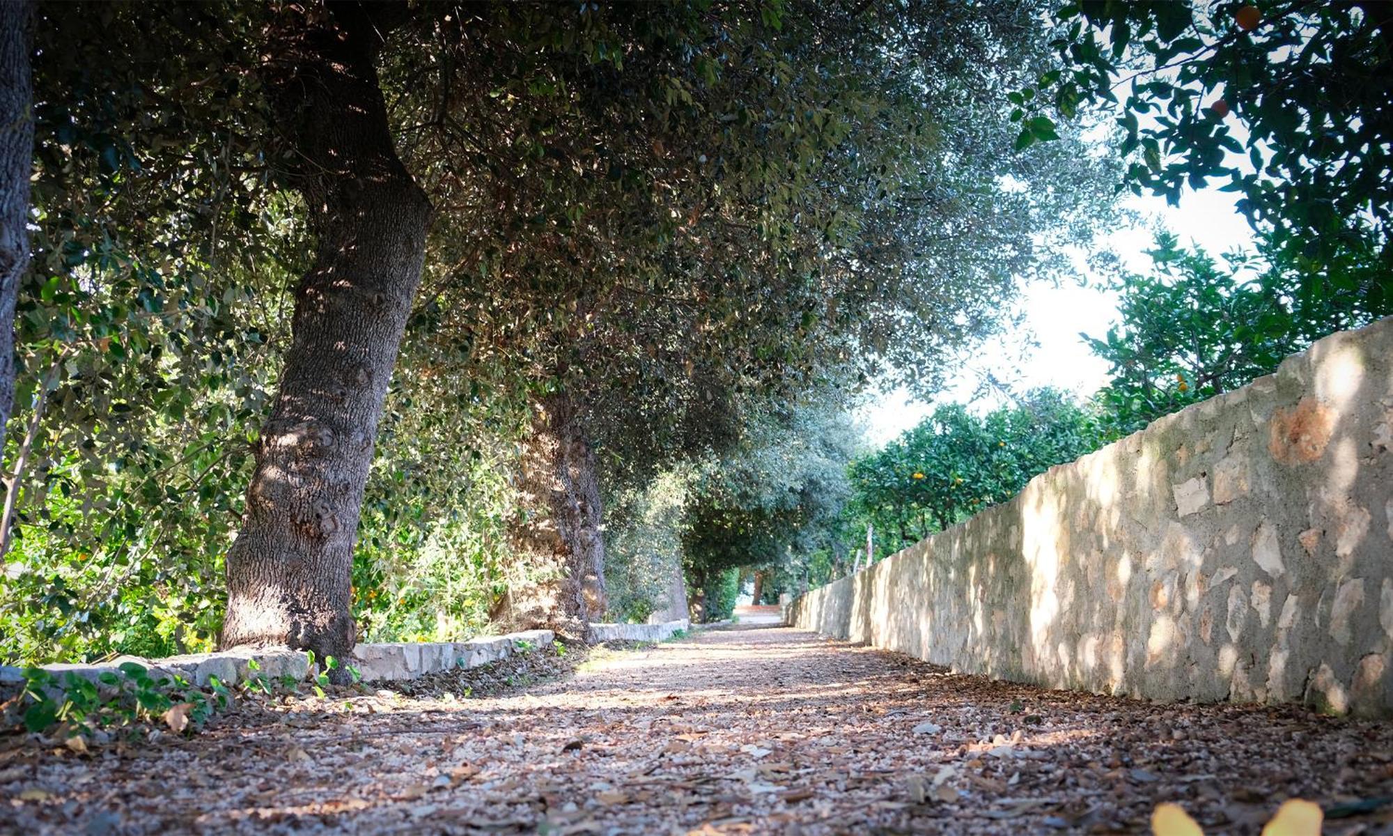 I Frangiventi Bed & Breakfast Rodi Garganico Bagian luar foto